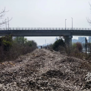 挥手告别，老宣杭铁路三墩段